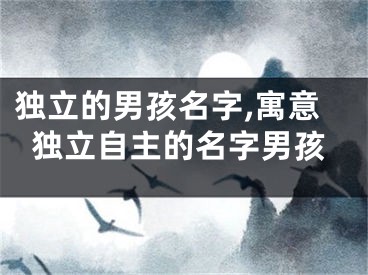 独立的男孩名字,寓意独立自主的名字男孩