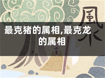 最克猪的属相,最克龙的属相