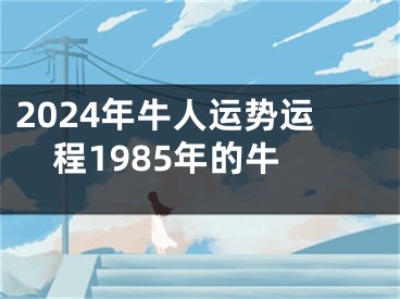 2024年牛人运势运程1985年的牛