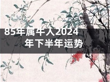 85年属牛人2024年下半年运势