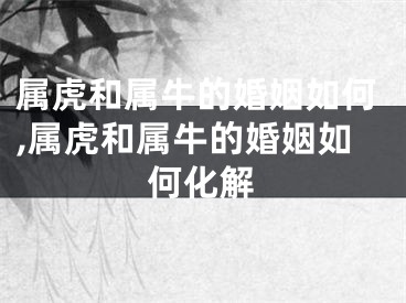 属虎和属牛的婚姻如何,属虎和属牛的婚姻如何化解