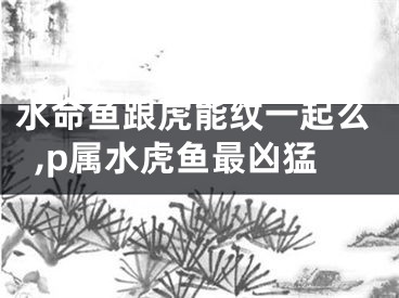 水命鱼跟虎能纹一起么,p属水虎鱼最凶猛