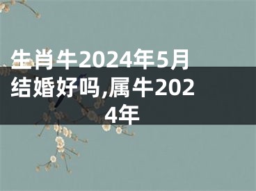 生肖牛2024年5月结婚好吗,属牛2024年
