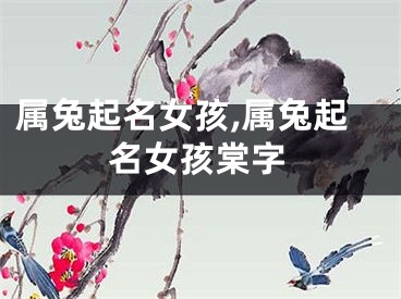属兔起名女孩,属兔起名女孩棠字