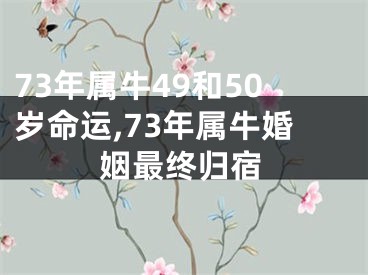 73年属牛49和50岁命运,73年属牛婚姻最终归宿