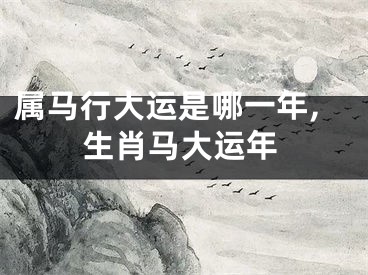 属马行大运是哪一年,生肖马大运年