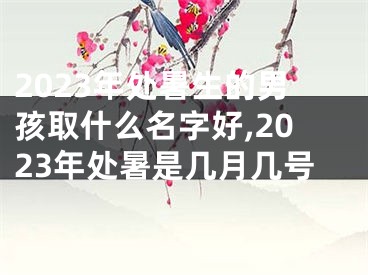 2023年处暑生的男孩取什么名字好,2023年处暑是几月几号