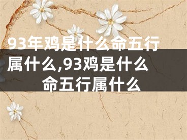 93年鸡是什么命五行属什么,93鸡是什么命五行属什么