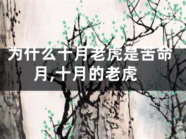 为什么十月老虎是苦命月,十月的老虎