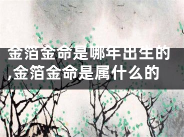金箔金命是哪年出生的,金箔金命是属什么的