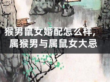 猴男鼠女婚配怎么样,属猴男与属鼠女大忌