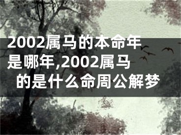 2002属马的本命年是哪年,2002属马的是什么命周公解梦