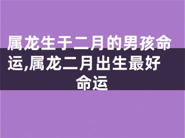 属龙生于二月的男孩命运,属龙二月出生最好命运