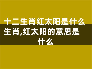 十二生肖红太阳是什么生肖,红太阳的意思是什么