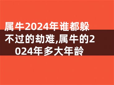 属牛2024年谁都躲不过的劫难,属牛的2024年多大年龄