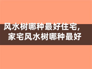 风水树哪种最好住宅,家宅风水树哪种最好