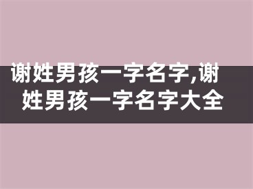 谢姓男孩一字名字,谢姓男孩一字名字大全