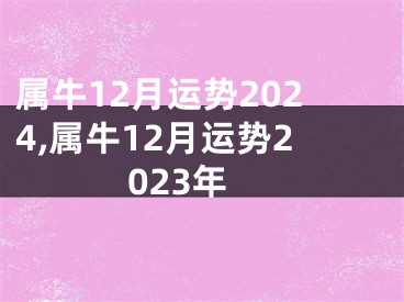 属牛12月运势2024,属牛12月运势2023年