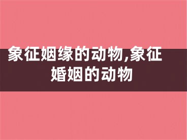 象征姻缘的动物,象征婚姻的动物