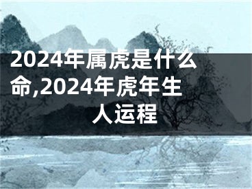 2024年属虎是什么命,2024年虎年生人运程
