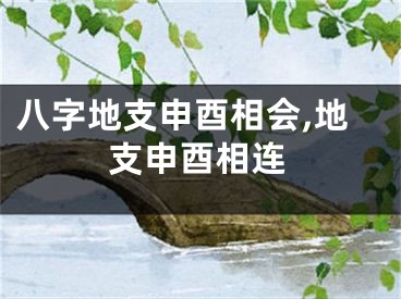 八字地支申酉相会,地支申酉相连
