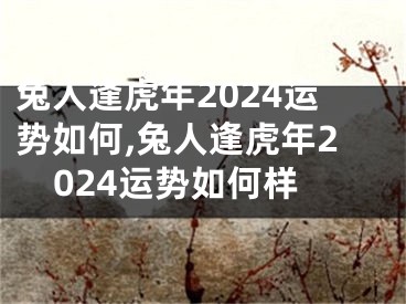 兔人逢虎年2024运势如何,兔人逢虎年2024运势如何样