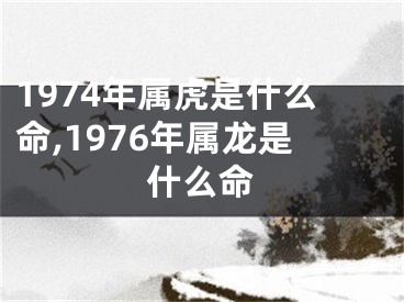 1974年属虎是什么命,1976年属龙是什么命