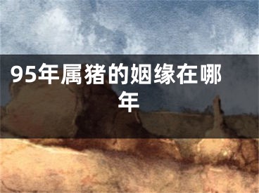 95年属猪的姻缘在哪年