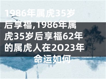 1986年属虎35岁后享福,1986年属虎35岁后享福62年的属虎人在2O23年命运如何