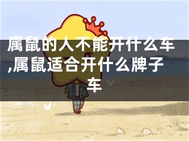 属鼠的人不能开什么车,属鼠适合开什么牌子车