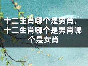 十二生肖哪个是男肖,十二生肖哪个是男肖哪个是女肖