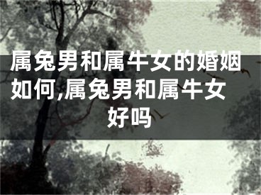 属兔男和属牛女的婚姻如何,属兔男和属牛女好吗