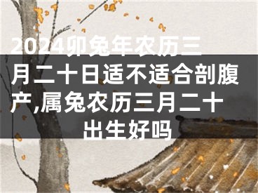 2024卯兔年农历三月二十日适不适合剖腹产,属兔农历三月二十出生好吗