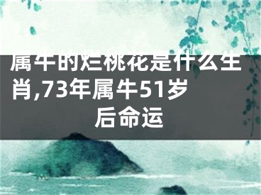 属牛的烂桃花是什么生肖,73年属牛51岁后命运