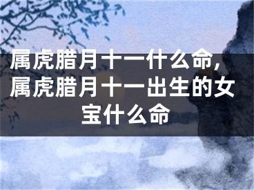 属虎腊月十一什么命,属虎腊月十一出生的女宝什么命
