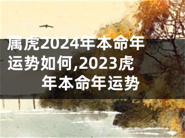 属虎2024年本命年运势如何,2023虎年本命年运势