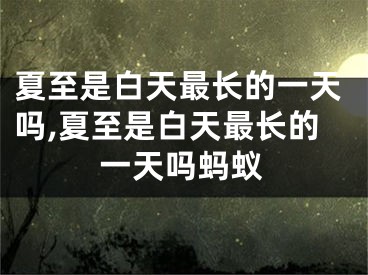 夏至是白天最长的一天吗,夏至是白天最长的一天吗蚂蚁