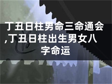 丁丑日柱男命三命通会,丁丑日柱出生男女八字命运