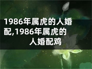 1986年属虎的人婚配,1986年属虎的人婚配鸡