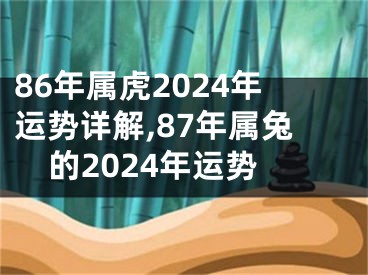 86年属虎2024年运势详解,87年属兔的2024年运势
