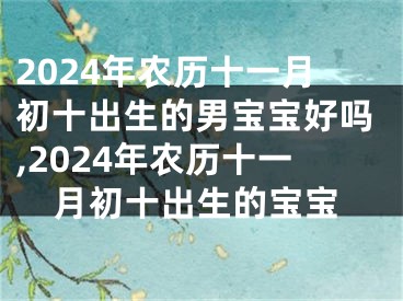 2024年农历十一月初十出生的男宝宝好吗,2024年农历十一月初十出生的宝宝