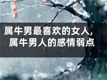 属牛男最喜欢的女人,属牛男人的感情弱点