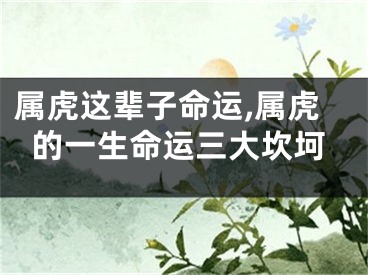 属虎这辈子命运,属虎的一生命运三大坎坷