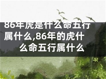 86年虎是什么命五行属什么,86年的虎什么命五行属什么