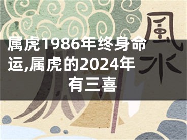 属虎1986年终身命运,属虎的2024年有三喜