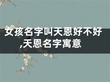 女孩名字叫天恩好不好,天恩名字寓意