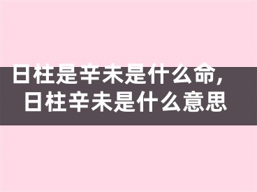 日柱是辛未是什么命,日柱辛未是什么意思