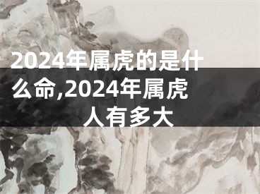 2024年属虎的是什么命,2024年属虎人有多大
