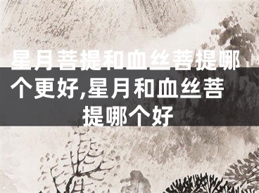 星月菩提和血丝菩提哪个更好,星月和血丝菩提哪个好