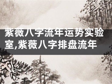 紫薇八字流年运势实验室,紫薇八字排盘流年